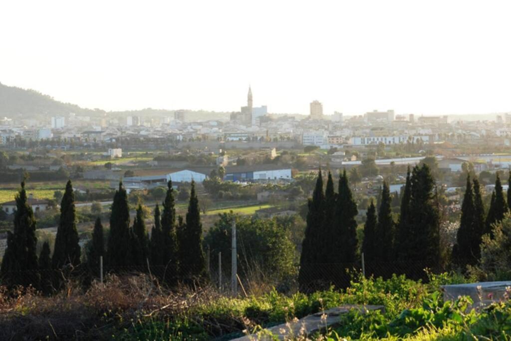 Peixet * Manacor (Mallorca)