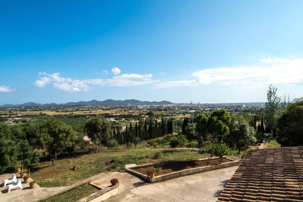 Peixet * Manacor (Mallorca)